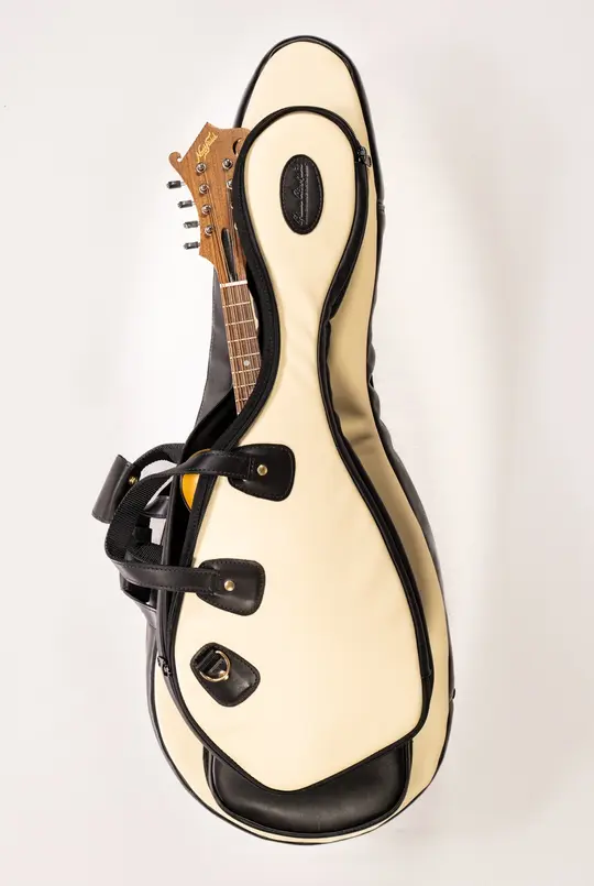 Mandolin Gig Bags