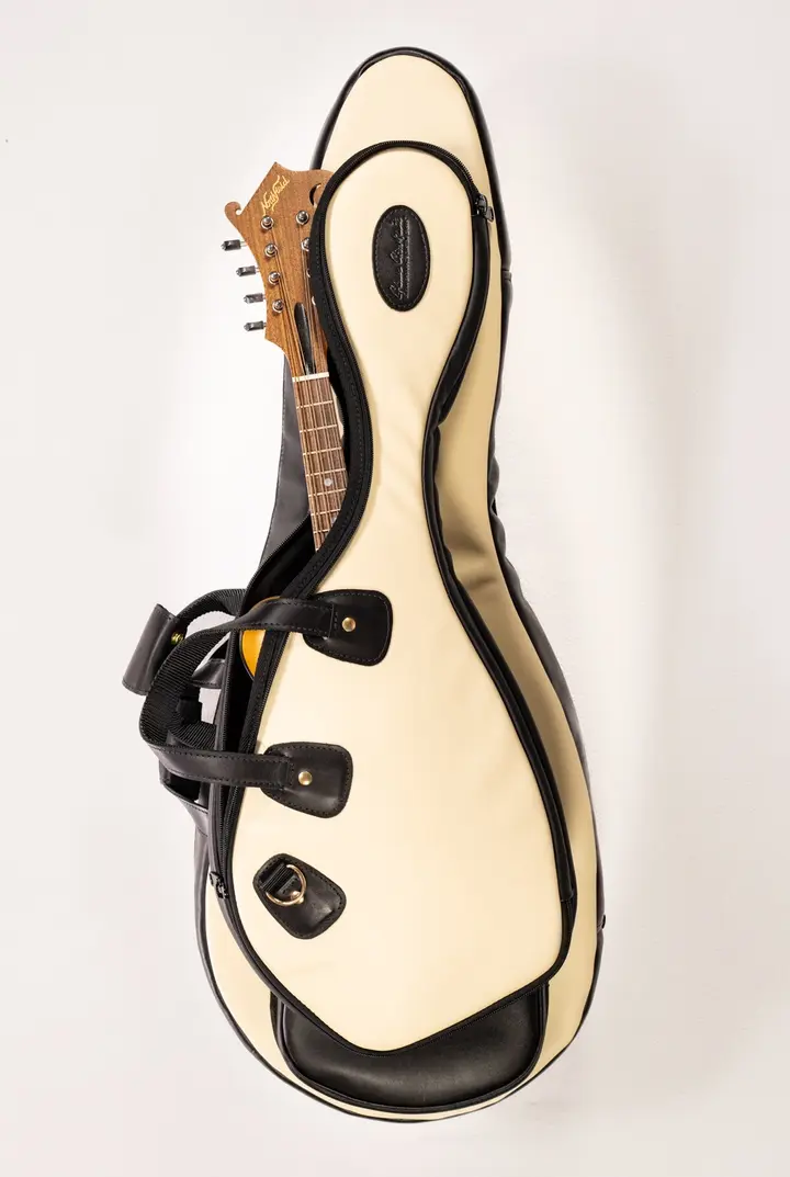 Mandolin Gig Bags