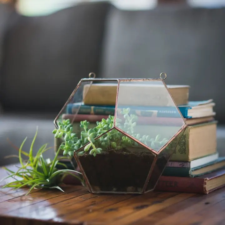 Half Dodecahedron Universe Terrarium