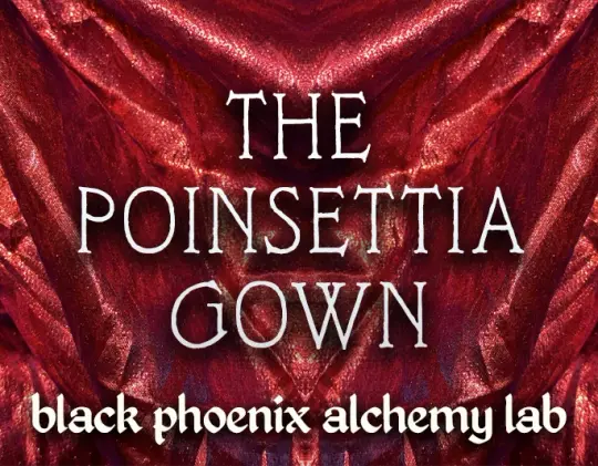 The Poinsettia Gown