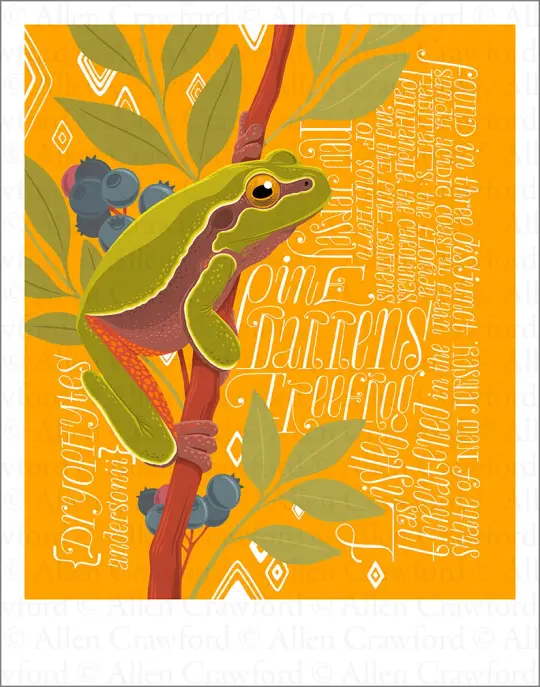 A Wild Promise: Pine Barrens Treefrog