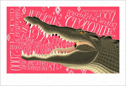 A Wild Promise: American Crocodile