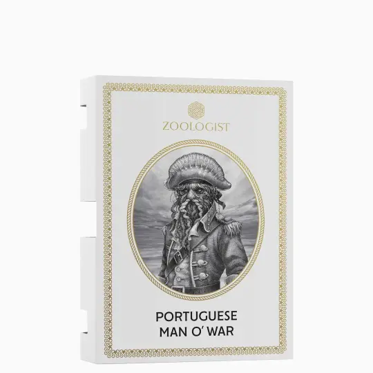 Zoologist Portuguese Man O' War Sample