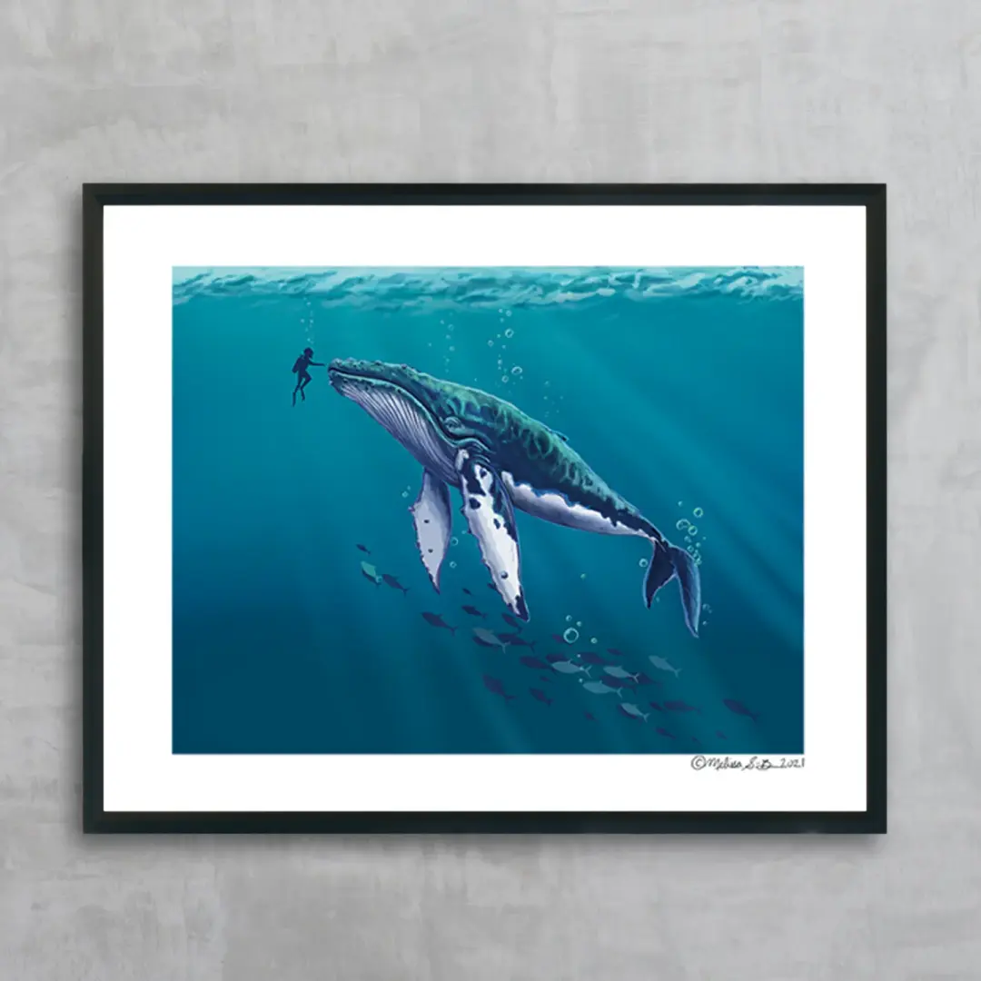 Humpback Whale Fine Art Print