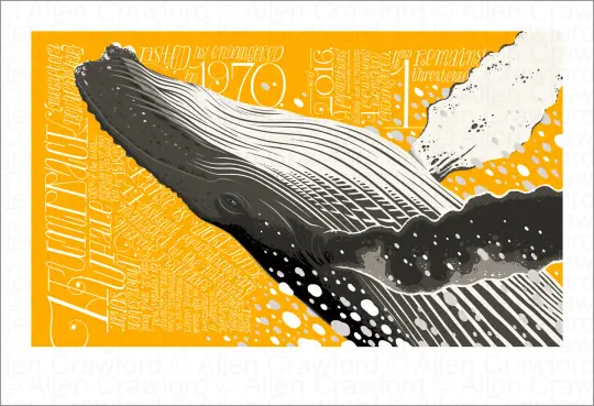 A Wild Promise: Humpback Whale