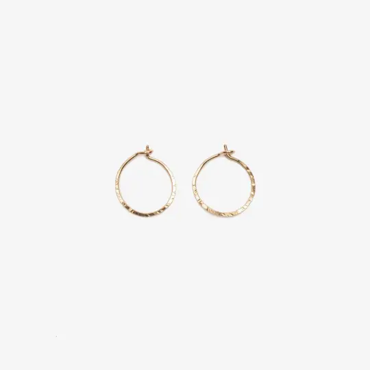 Cleopatra Gold-Filled Hoop Earrings