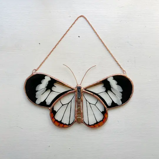 Glasswing Butterfly