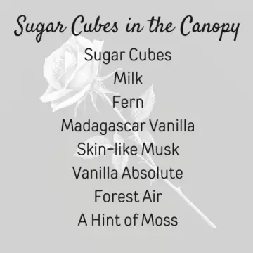 Sugar Cubes in the Canopy