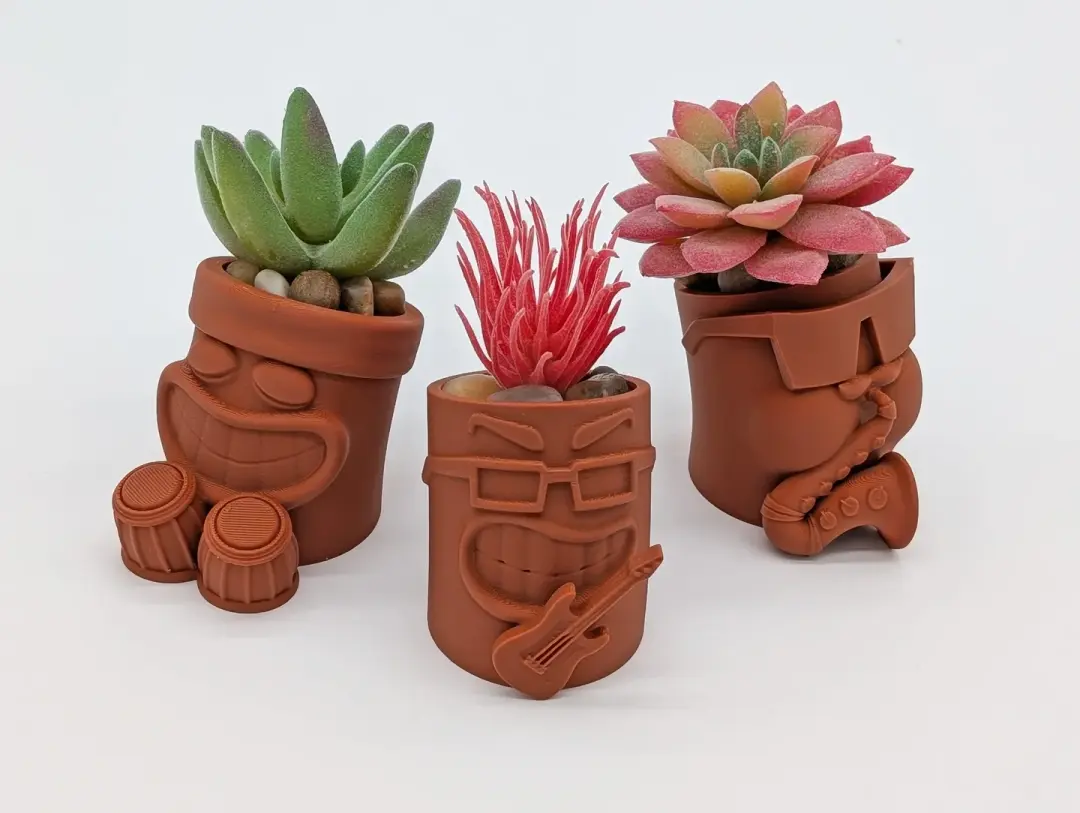 Funny Succulent Pots