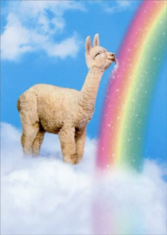Avanti Alpaca Greeting Card - Wishing You Sunshine and Rainbows